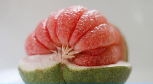 Bưởi hoặc cam. Hãy tạo thành thói quen ăn ít nhất 1 trái cam hoặc 3 múi bưởi mỗi ngày. Ăn cam, bưởi hoặc chanh hàng ngày sẽ giúp thúc đẩy chuyển hóa và đốt cháy calo một cách hiệu quả nhất. Bên cạnh việc ăn bưởi, cam tươi giàu vitamin C, bạn có thể làm món salad cam kết hợp với sữa chua ít béo.