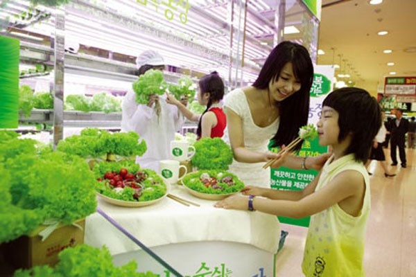 3. Mua những sản phẩm rau củ hữu cơ. Rất dễ dàng để chọn lựa những cửa hàng hữu cơ trong siêu thị và các cửa hàng rau trên toàn quốc. Dù là các sản phẩm này có đắt hơn một chút so với thị trường nhưng nó lại ít nguy cơ cho sức khỏe của bạn hơn. Tuy nhiên, ngay cả những sản phẩm hữu cơ thì bạn cũng nên rửa thật sạch trước khi chế biến.