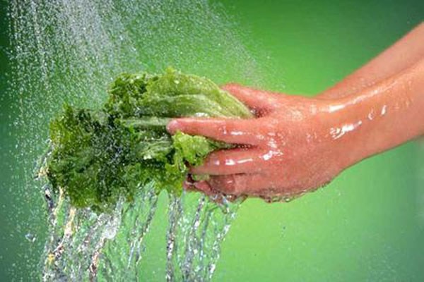 6. Không được rửa trái cây và rau bằng xà phòng hay nước ngâm rửa, thậm chí là nước súc miệng. Điều này sẽ chỉ gây hại hơn cho thực phẩm vì nó có thể xâm nhập qua lớp vỏ trái cây và rau nhiều hơn. Để đảm bảo vệ sinh bạn cài đặt bộ phận lọc nước để lọc hết các chất clo và hợp chất có hại khác từ nước máy.