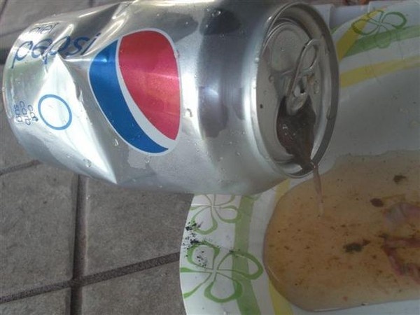 Lon Pepsi có xuất hiện xác một con ếch.