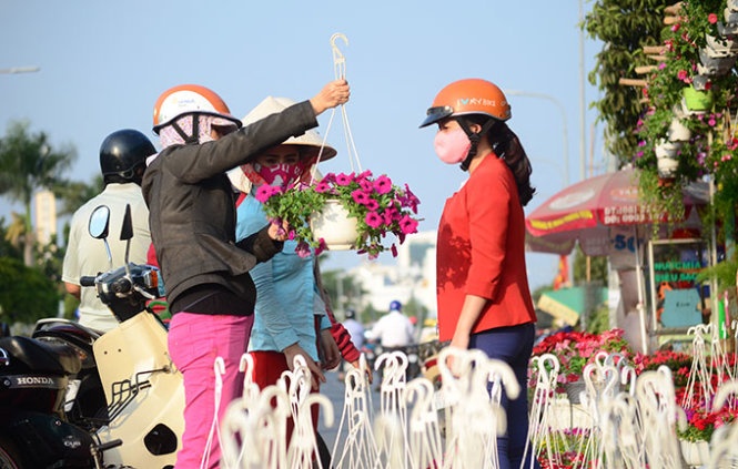 ​Hoa ngoai ra thi truong Tet hinh anh