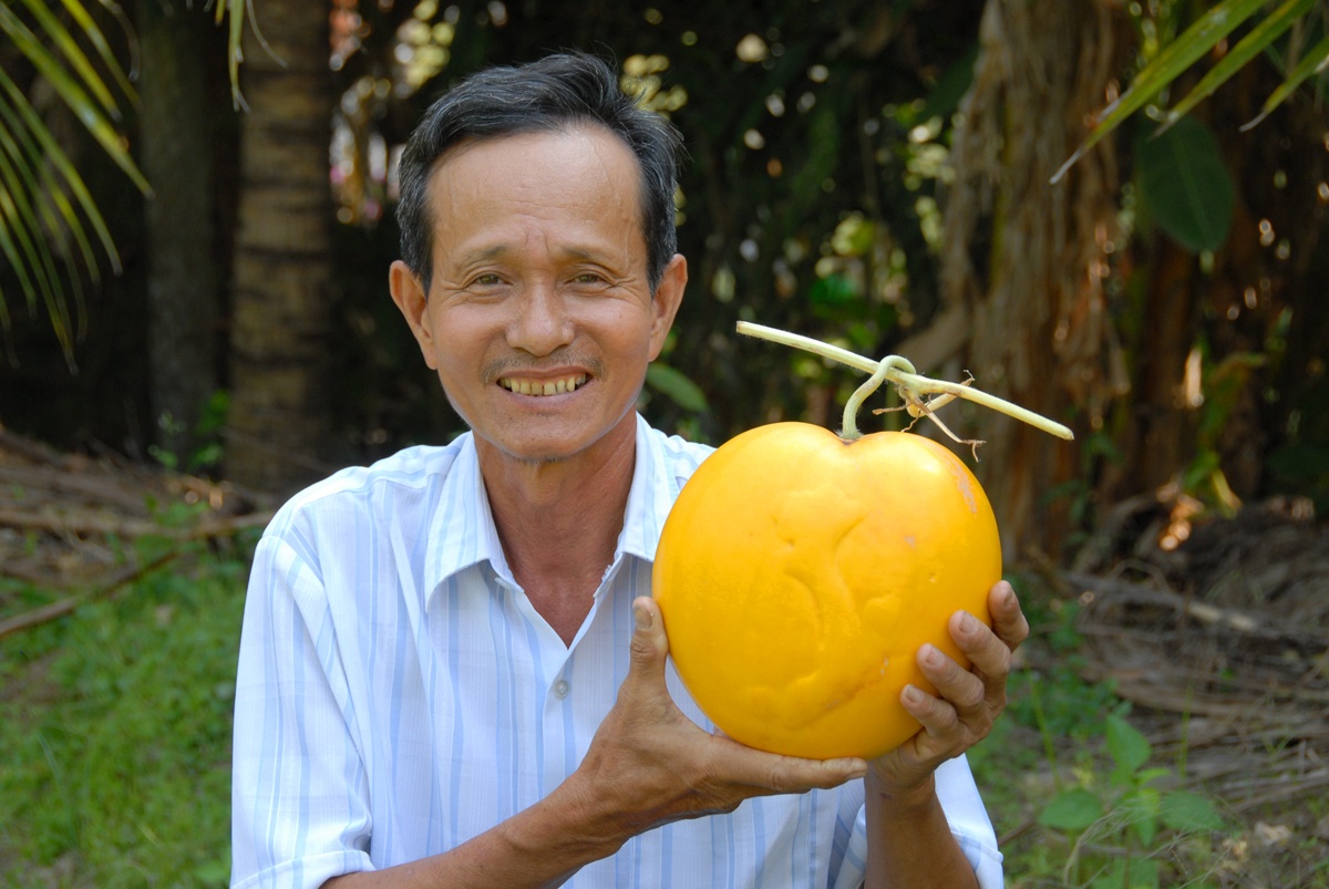 Theo 'vua' tao hinh dua doc mien Tay ra vuon hai qua Tet hinh anh