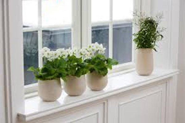 Không nên dùng những sản phẩm làm sạch nhân tạo như thuốc xịt để “tẩy rửa” không khí. Bạn có thể thay đổi bằng cách trồng cây xanh trong nhà, làm sạch bằng nước chanh và dấm hay đơn giản là một bát hoa và thảo dược.