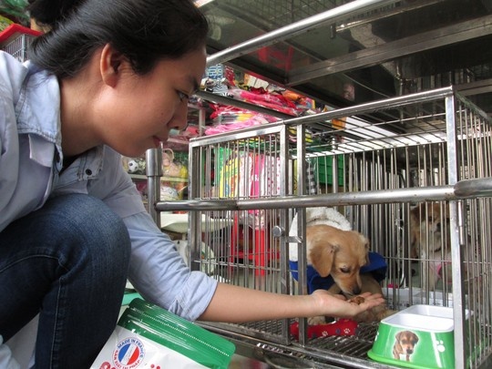 Dich vu ngay Tet dat hang hinh anh