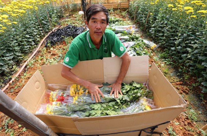 Dia lan Da Lat xa hang hinh anh