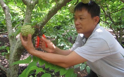 Ong chu trang trai na: 'Thu tien ty don gian lam' hinh anh