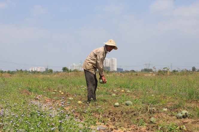 Nguoi trong dua o Sai Gon mat Tet hinh anh