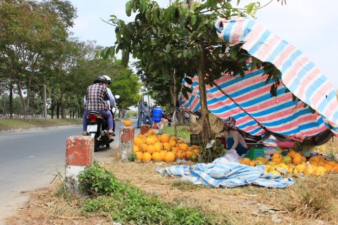 Khách đi đường dừng lại xem dưa của chị Hiền nhưng không mua.