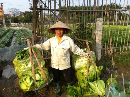 Bác Đinh Thị Hoa mặt buồn rười rượi khi gánh rau 40kg bác Đinh Thị Hoa chỉ bán được 20.000 đồng.