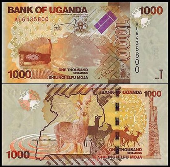 Cũng được in hình con dê những tờ tiền Uganda đang được bán với giá 50.000 – 60.000 đồng/ tờ.