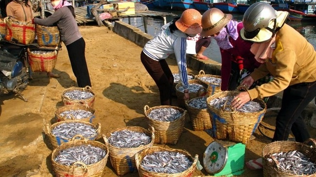 Ngu dan trung dam ca com dau nam moi hinh anh