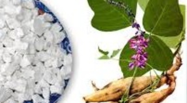 Duoc thien tot cho nguoi dai thao duong hinh anh