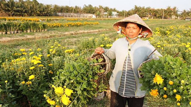 Hoa Tet thua lo: Nam thi hieu, trong theo hop dong hinh anh