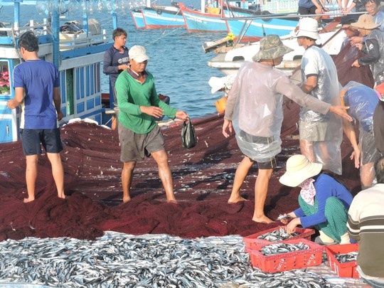 Ngu dan Ly Son ha he boi trung loc bien dau nam hinh anh