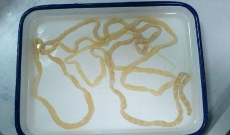 Mac san day lon tuong ung thu nao di can hinh anh