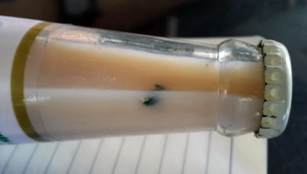 Thanh tra con ruoi nhung phep thu lai bo ong hut hinh anh