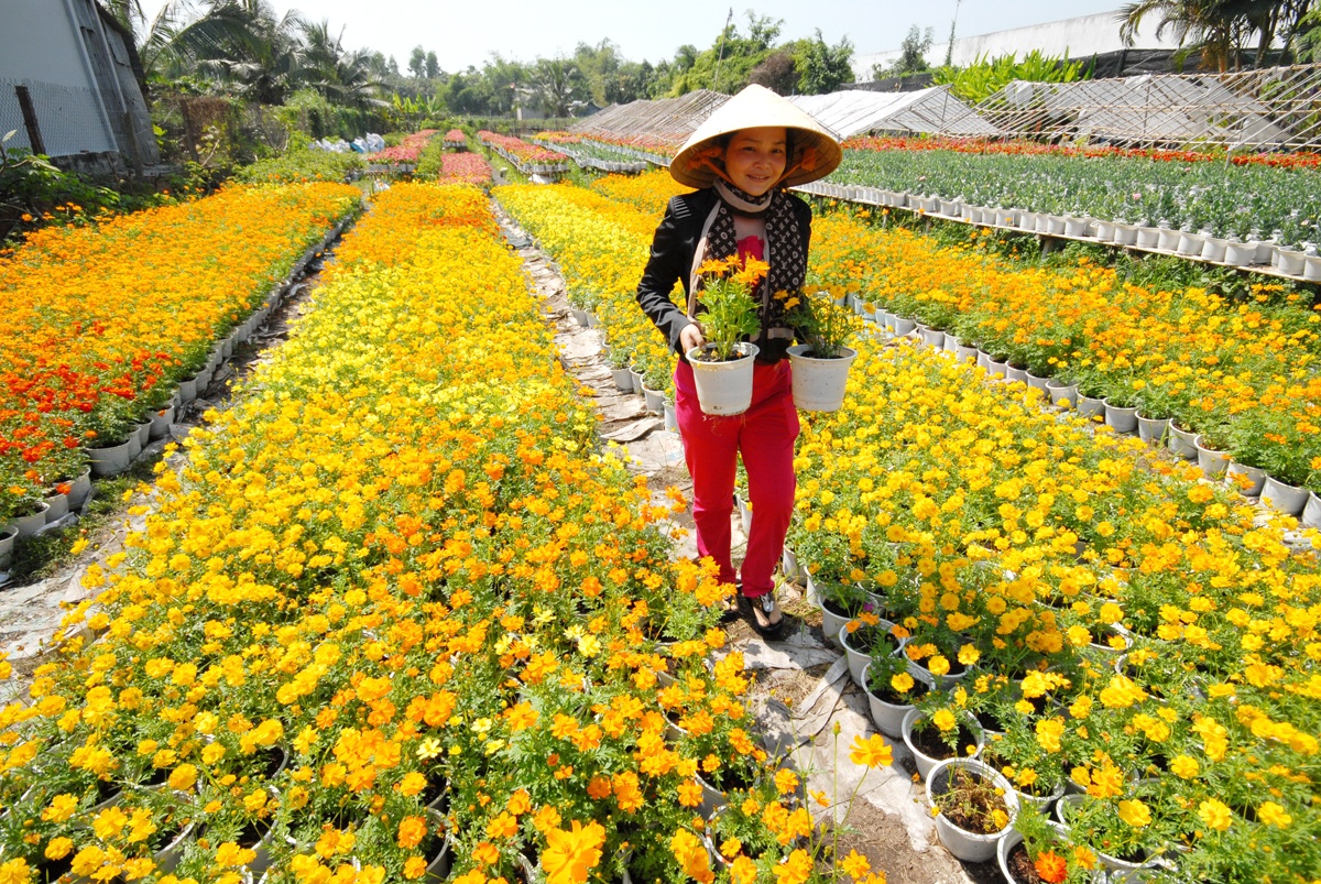 Het Tet, nhieu nguoi trong hoa mien Tay trang tay hinh anh
