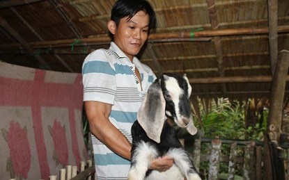 Thanh nien me 'ngan hang de' hinh anh