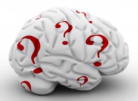 Tiet lo bat ngo thu vi ve chi so IQ cua ban hinh anh