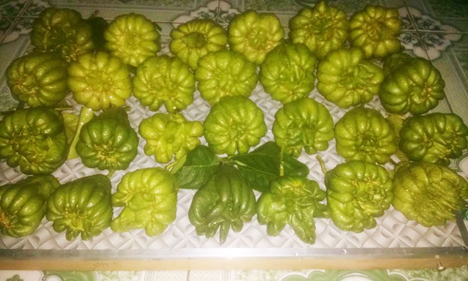 Phat thu cuoi vu 20.000 dong/qua cung ram thang gieng hinh anh