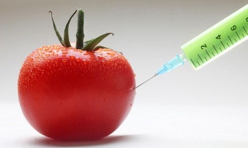 Thực phẩm biến đổi gen không tốt. Thực phẩm biến đổi gen là một đề tài từ lâu được nhiều người quan tâm về sự an toàn. Nhiều người tin rằng thực phẩm biến đổi gen không tốt nhưng thực tế không toàn toàn như vậy. Một số thực phẩm biến đổi gen còn có tác dụng chống lại bệnh tật.