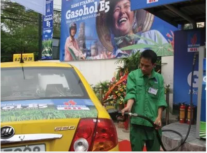 Vi sao Honda Viet Nam duoc nhap khau xang E5? hinh anh