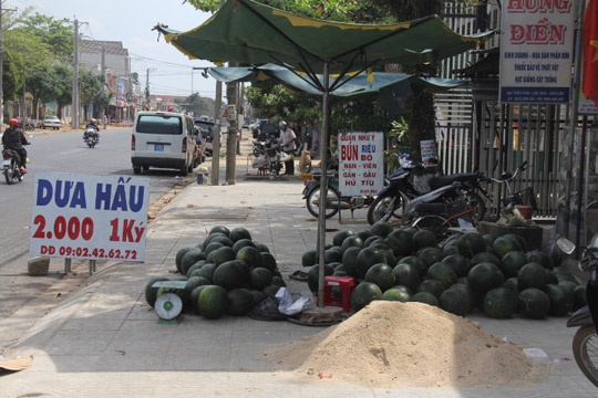 Tieu thuong thue xe om do bo dua hau hinh anh