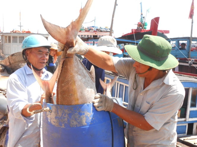 Ngu dan thu bac ty tu ngu truong Hoang Sa hinh anh