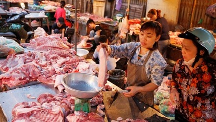 Dien, xang cung tang gia: Lo gia ca leo thang hinh anh