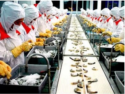 Vua tom Minh Phu lai bat thuong do dau? hinh anh