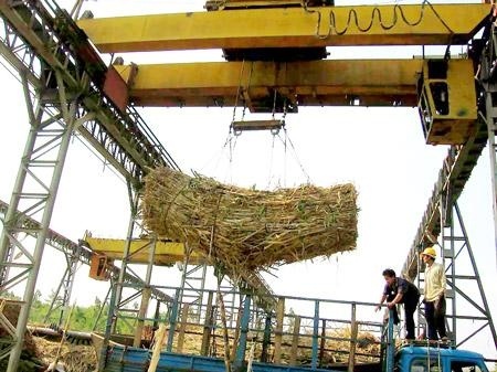 'Lien quan mia duong': Bau Duc chi dam trong mia o Lao hinh anh