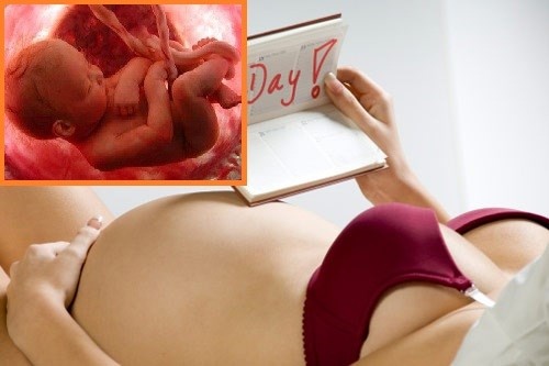 Cach tinh tuoi thai chinh xac nhat hinh anh