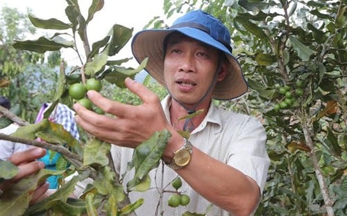 Chuyen ong bi thu hai lan bi kiem diem vi mac-ca hinh anh