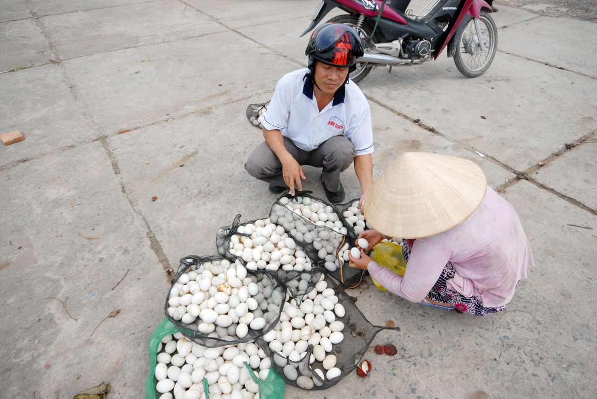 1.400 dong mot qua trung vit, dan mien Tay lo thua lo hinh anh