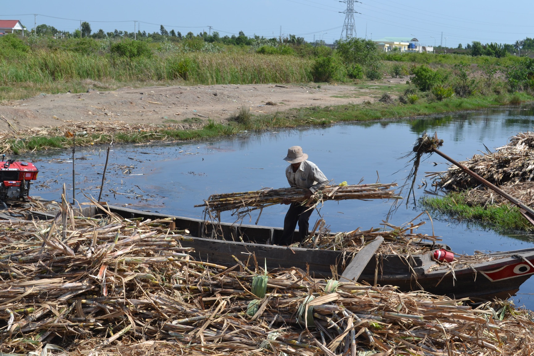 Dong Nai: Nong dan khoc rong nhin mia chet kho hinh anh