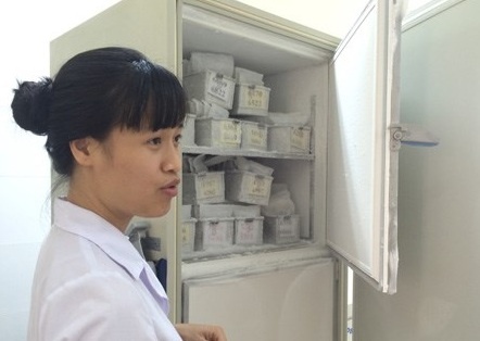 Kho chua nghin manh so nguoi tai Viet Nam hinh anh