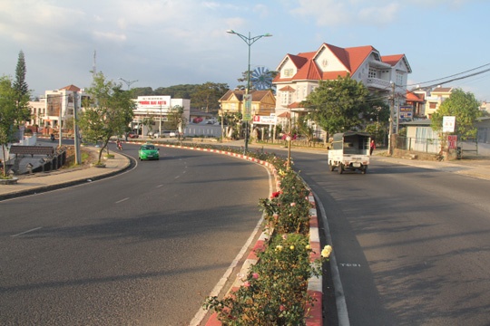 Hoa hồng được trồng dọc theo các con đường ở Đà Lạt.