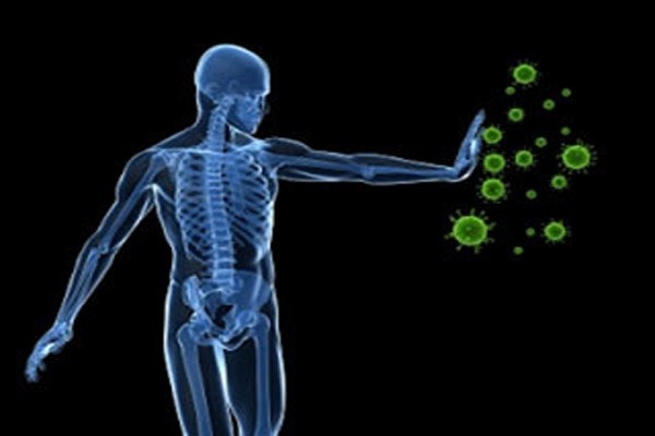 Khả năng miễn dịch tự nhiên. Cơ thể chúng ta thường xuyên bị tấn công bởi các virus, vi khuẩn và ký sinh trùng do hàng ngày tiếp xúc với hàng triệu hóa chất, độc tố và các chất ô nhiễm. Tuy nhiên, cơ thể con người có khả năng tái tạo để chống lại nhiễm trùng, làm chậm quá trình lão hóa, sửa chữa các protein bị phá vỡ và các enzym, tiêu diệt những tế bào ung thư đang phát triển...