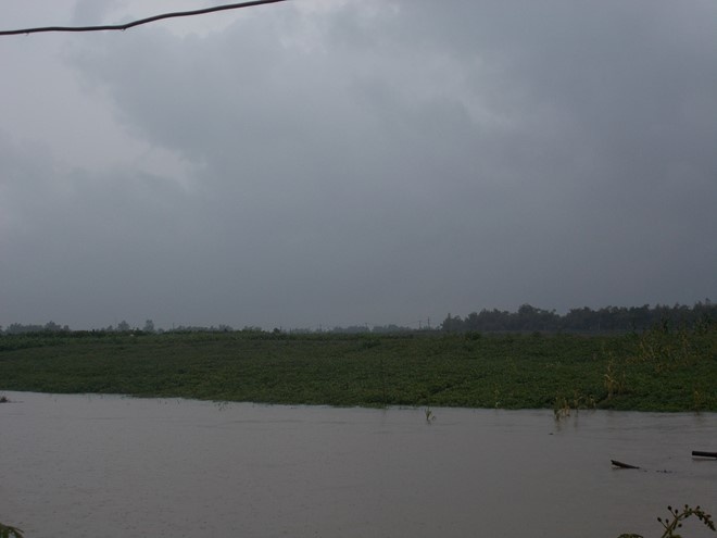 Nong dan nem trai dang voi mua trai mua hinh anh