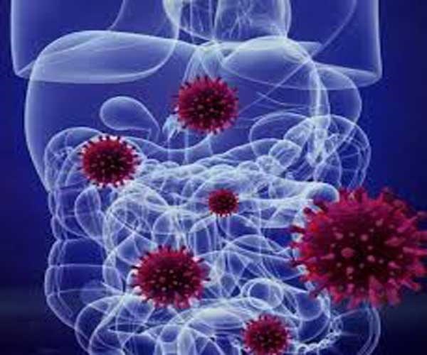 Khi tế bào phân chia theo tốc độ nhanh, chúng bắt đầu hình thành khối mô gọi là bướu. Các cục u bướu này được nuôi dưỡng bằng các chất dinh dưỡng khuếch tán từ các mạch máu lân cận. Vì có tiếp tế, chúng cũng có thể phát triền một khối u mới ở thành mạch và phá hủy cơ quan trong cơ thể theo 3 cách: gây áp lực lên mô và các cơ quan lân cận, trực tiếp xâm lấn các mô và các cơ quan để gây tổn hại hoặc vô hiệu hóa các mô, gây nhiễm trùng mô. Nếu làm được như vậy, ung thư lúc này đã hoàn tất giai đoạn 2.