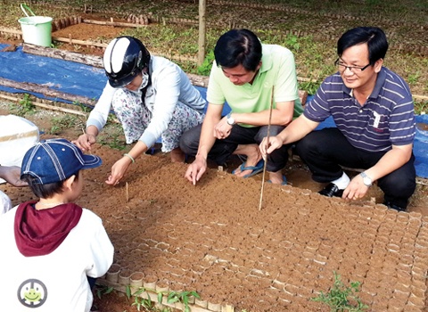 Vườn ươm cây sâm Ngọc Linh được di thực sang huyện Tây Giang, Quảng Nam.