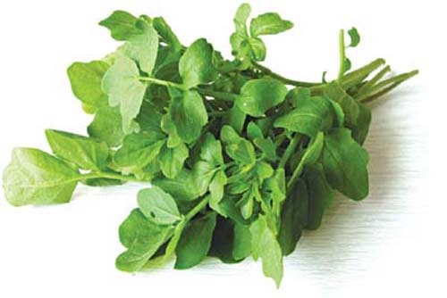 Chua hoi mieng bang rau cai xoong hinh anh