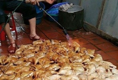 Nuong ga tren nen gach: Chuyen gia dinh duong giat minh hinh anh