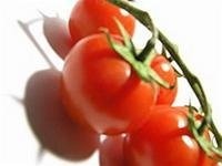 Da Lat trong ca chua vang va nau hinh anh