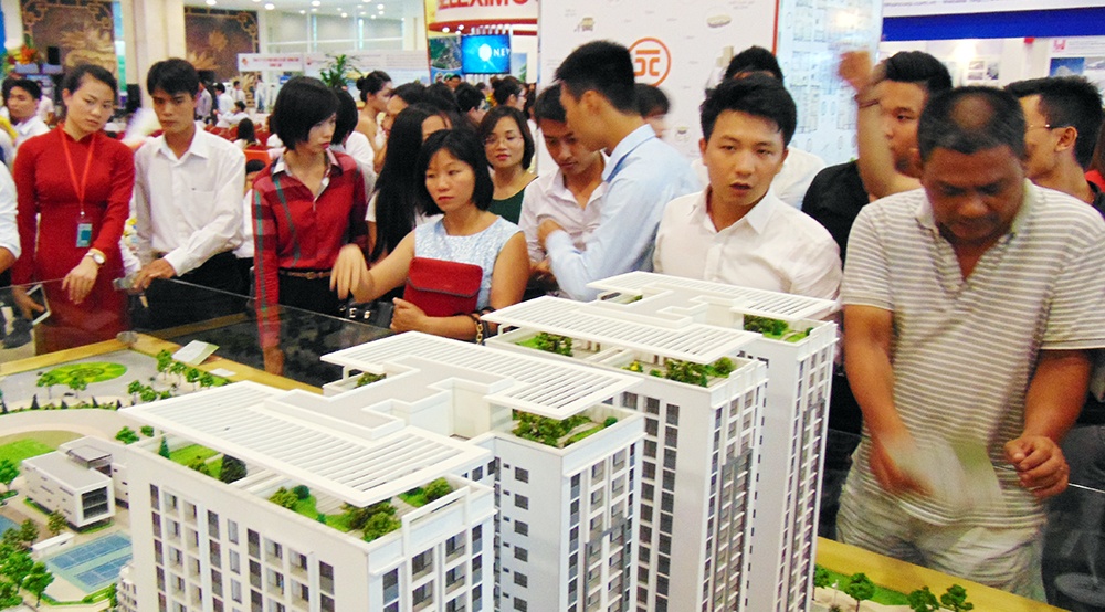 Dia oc buoc vao cuoc chien sau Tet hinh anh