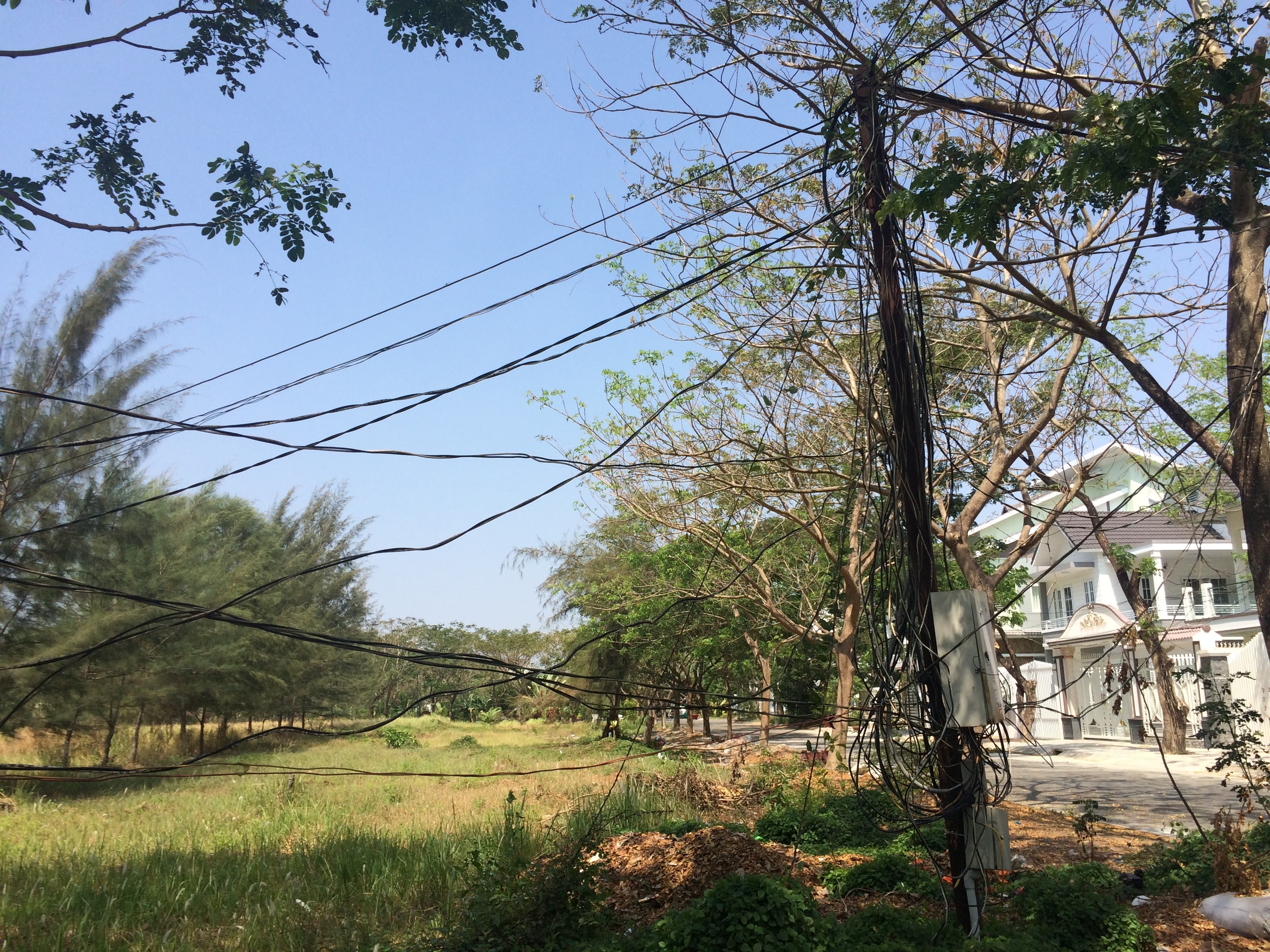 Khong giay phep van ban dien hinh anh