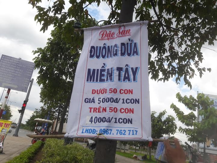 Duong dua mien Tay 5.000 dong mot con ban o le duong Sai Gon hinh anh