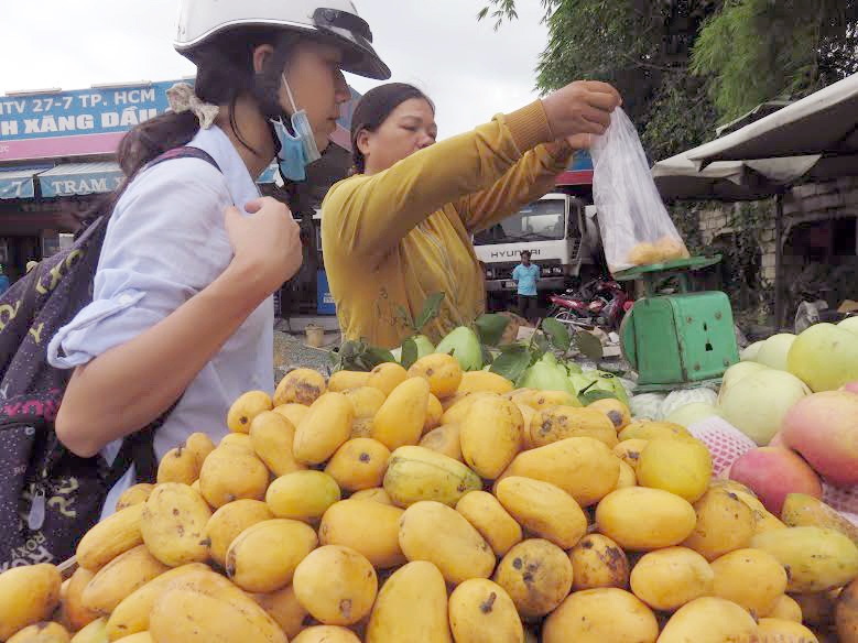 xoai mut dat hang tai cho dau moi anh 2