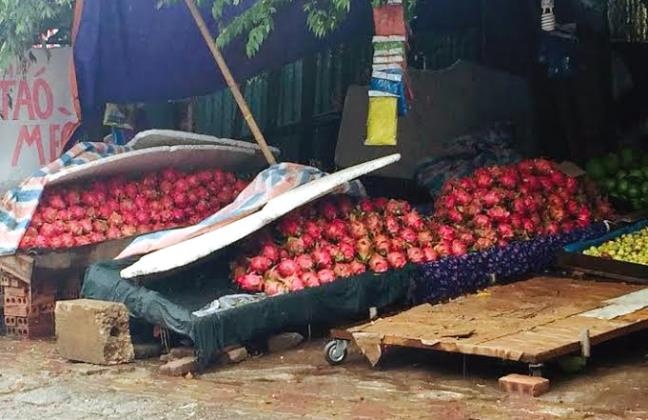 Trai cay ra Bac phi van chuyen chiem 30%, doi gia chuc lan hinh anh