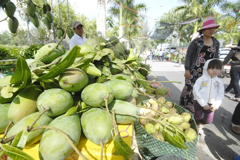 Dan mien Tay dua nhau trong giong xoai Dai Loan hinh anh